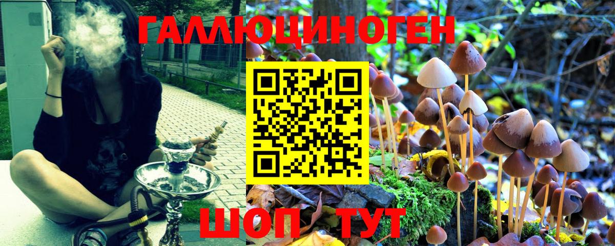 Галлюциногенные грибы ЛСД  Вход с VPN  Алапаевск 