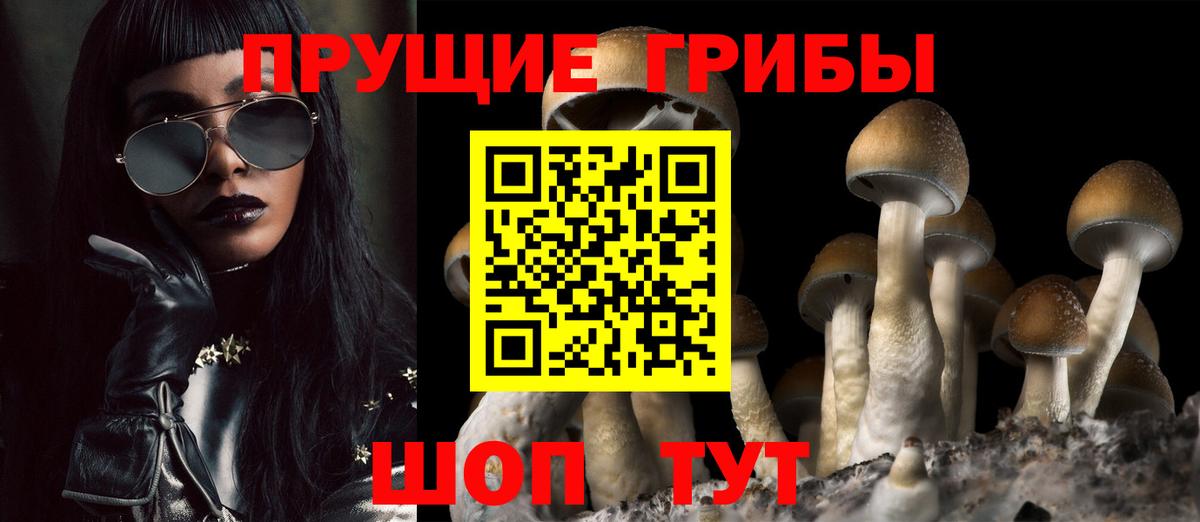 Псилоцибиновые грибы мицелий Алапаевск